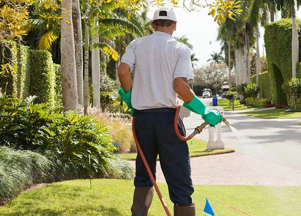 About Montrose PA Pest Control